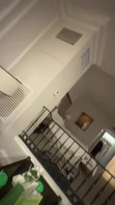 三只小母狗 一个被操穴 两个舔jb